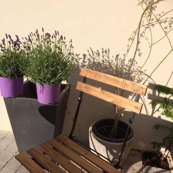 Le Clos De Beauchamp Appartement Le Bord De Mer 2 Velos Sont Disponibles Gratuitement Saint-Valéry-sur-Somme Kültér fotó